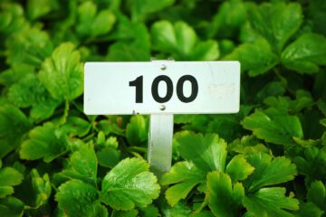 Pflanzen mit 100. Schild